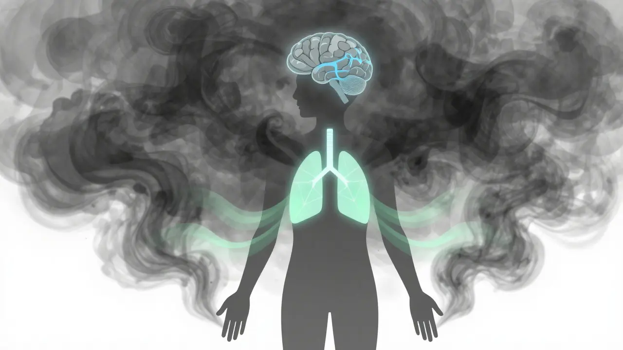 Abstract illustration showing calm mind controlling chaotic stress through neural regulation.